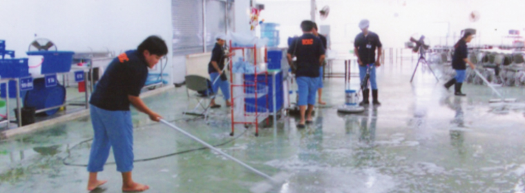 Second Image